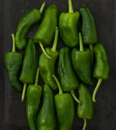 Apartment Centro, A De Marcelino By Urent *